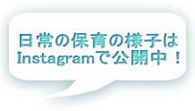 日常の保育の様子は Instagramで公開中！